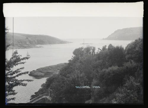 Estuary, Salcombe