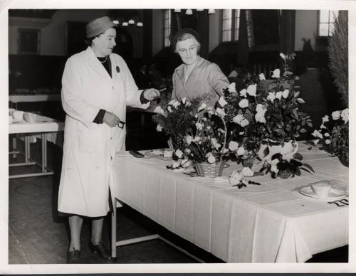 Butter Flowers display - Tavistock town hall