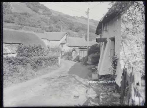 Village street, Branscombe