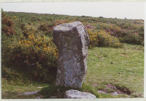 An image from the Dartmoor Trust Archive