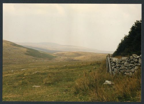 An image from the Dartmoor Trust Archive