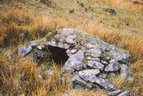 An image from the Dartmoor Trust Archive