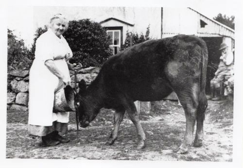 An image from the Dartmoor Trust Archive