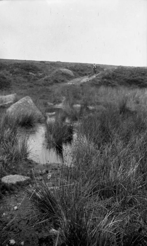 An image from the Dartmoor Trust Archive