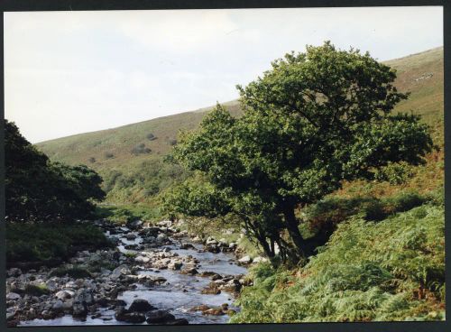 An image from the Dartmoor Trust Archive