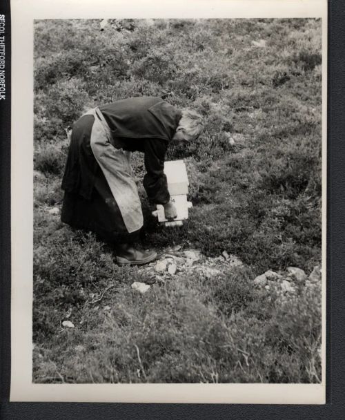 Br Adam tending bees on Dartmoor