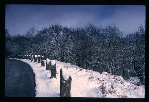 An image from the Dartmoor Trust Archive