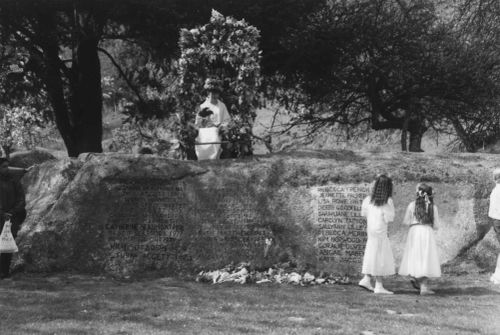 Lustleigh May Queen on her throne in the Orchard