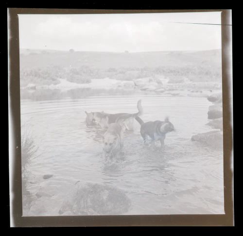 An image from the Dartmoor Trust Archive