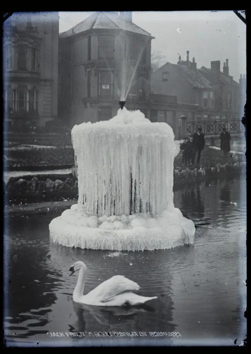 Swan and fountain, Dawlish