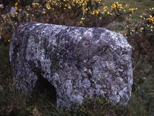 An image from the Dartmoor Trust Archive