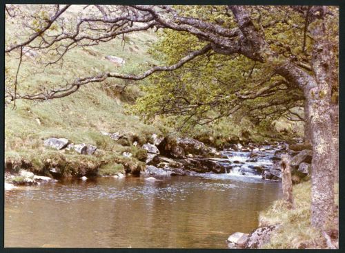 An image from the Dartmoor Trust Archive