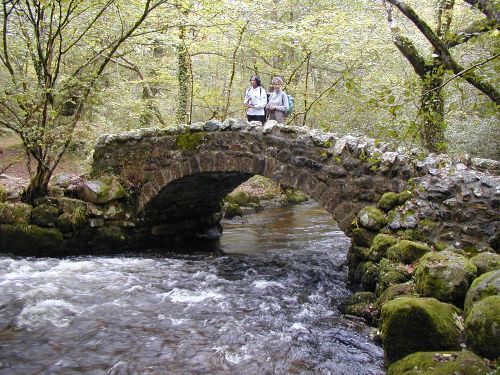 Hisley Bridge over the River Bovey