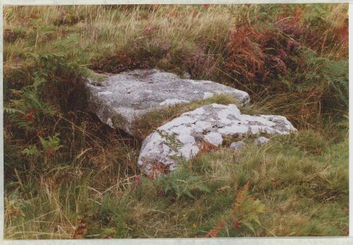 An image from the Dartmoor Trust Archive