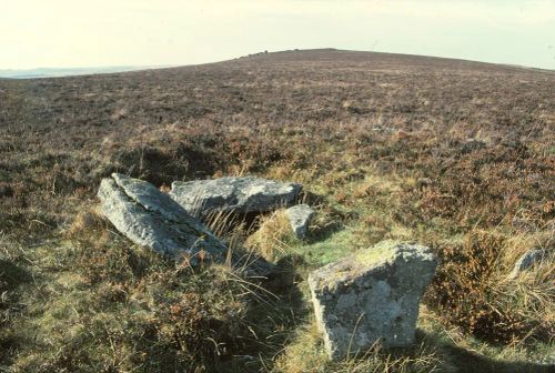 An image from the Dartmoor Trust Archive