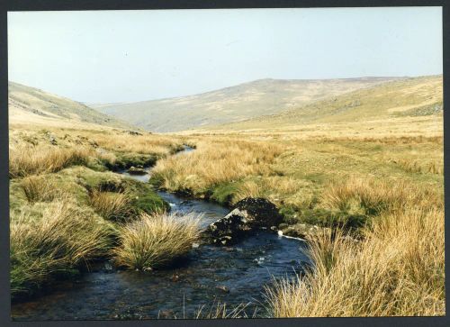 An image from the Dartmoor Trust Archive