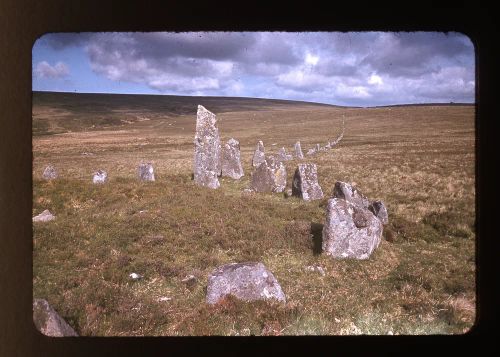 Down Tor Antiquities