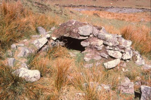 An image from the Dartmoor Trust Archive