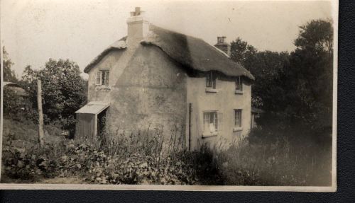 Thatched cottage - Sticklepath