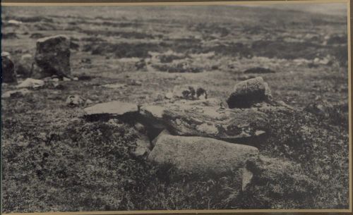 Unidentified Kistvaen Remains