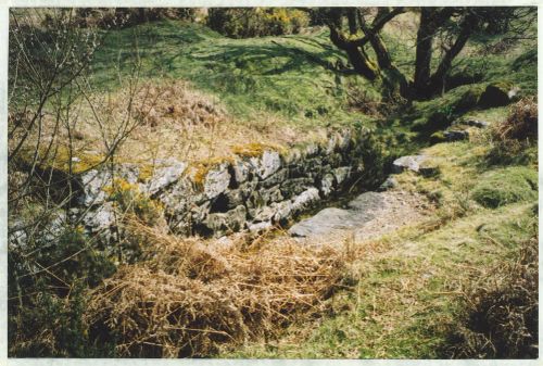 An image from the Dartmoor Trust Archive