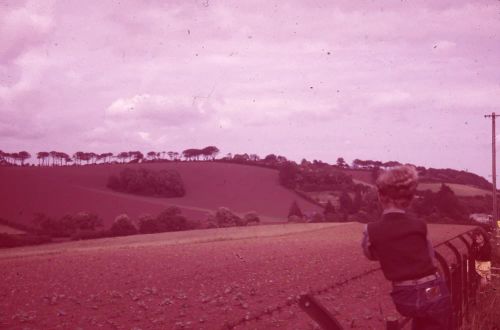 An image from the Dartmoor Trust Archive