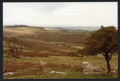 An image from the Dartmoor Trust Archive