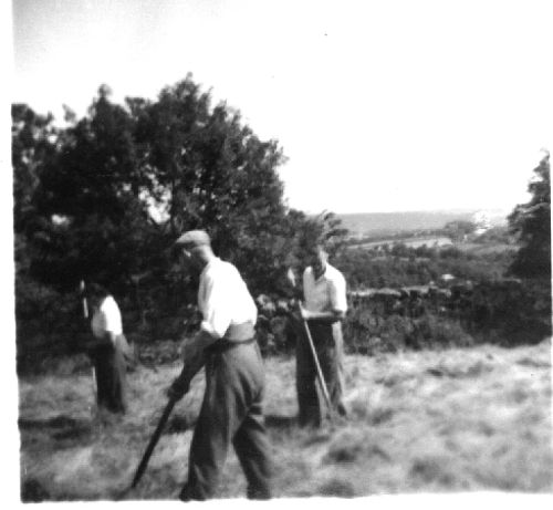 Haymaking