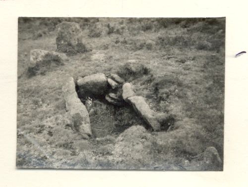 An image from the Dartmoor Trust Archive