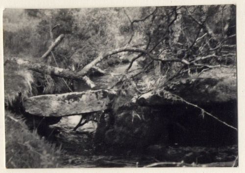 Clapper bridge over Bagga Tor Brook