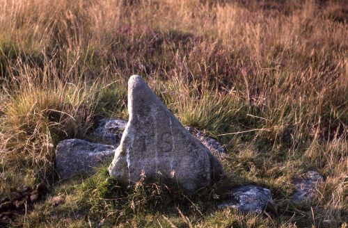 An image from the Dartmoor Trust Archive