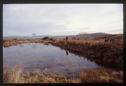 Reservoir at East Vitifer Mine