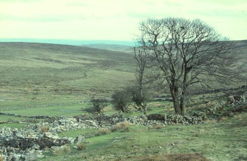 An image from the Dartmoor Trust Archive