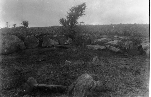 An image from the Dartmoor Trust Archive