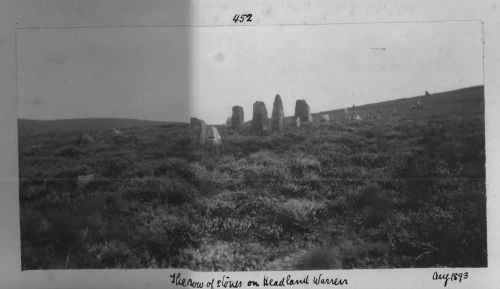 Stone row near Headland Warren