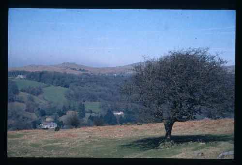 An image from the Dartmoor Trust Archive