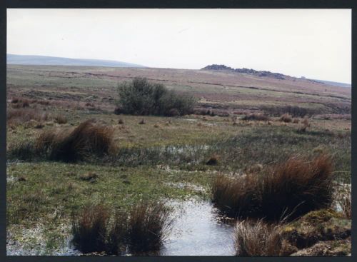 An image from the Dartmoor Trust Archive