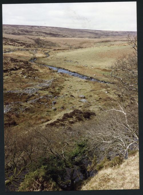 An image from the Dartmoor Trust Archive