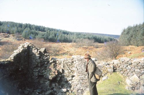 Ruined building near Soussons Down Forest