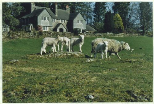 An image from the Dartmoor Trust Archive