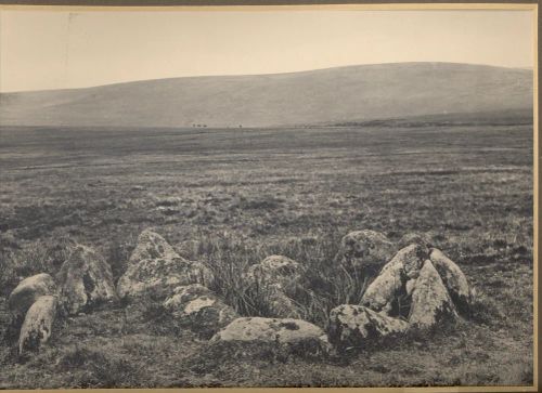 Royal Hill kistvaen and stone circle