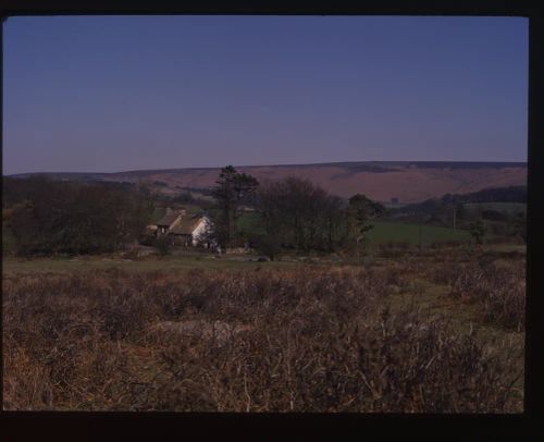 An image from the Dartmoor Trust Archive