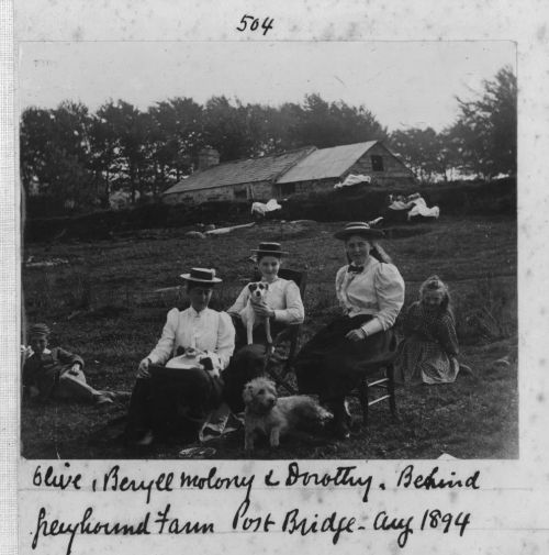 Group at Greyhound Farm