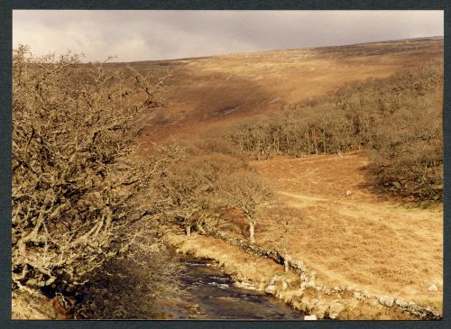 An image from the Dartmoor Trust Archive