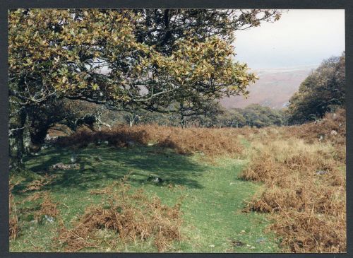 An image from the Dartmoor Trust Archive