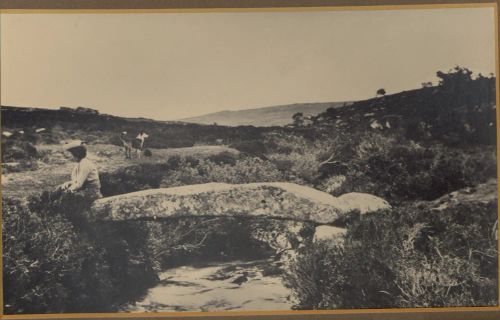 Wallabrook Bridge