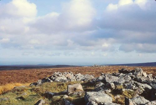 An image from the Dartmoor Trust Archive