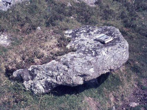 An image from the Dartmoor Trust Archive