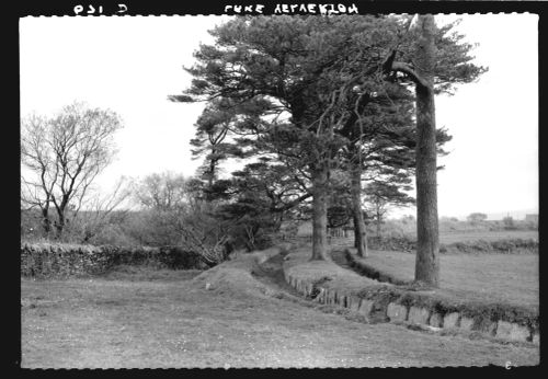 The Devonport leat at Lake Farm in Yelverton