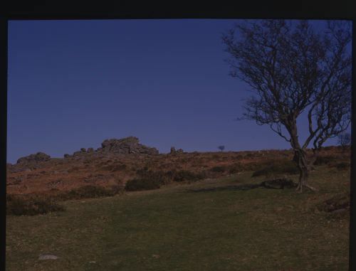 An image from the Dartmoor Trust Archive